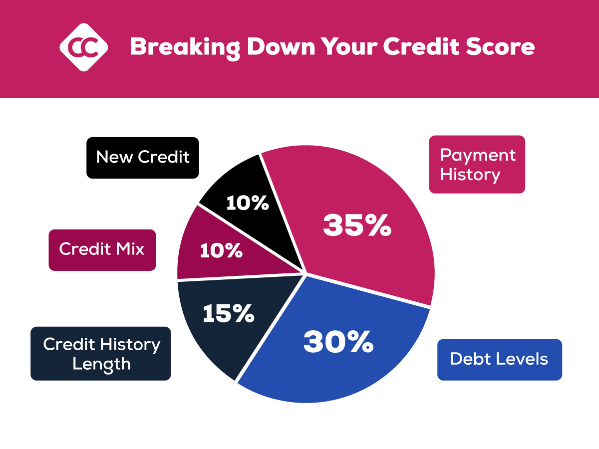 Infographic breaking down credit score percentages
