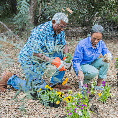 Empty nesters planting garden