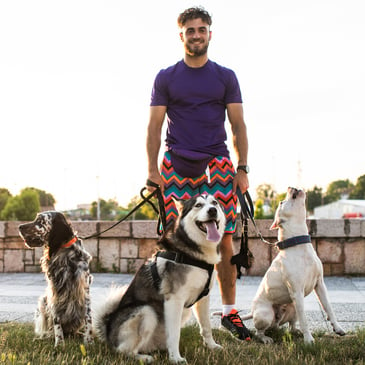 man dog walker standing with 3 dogs