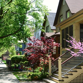Spring season on residential street
