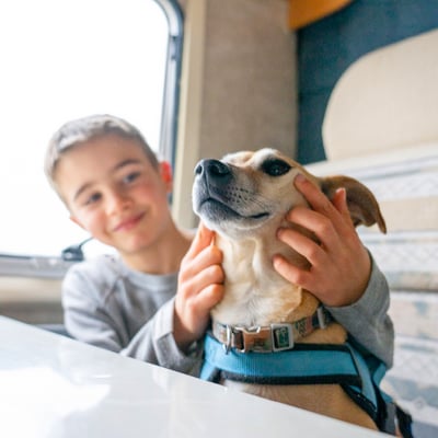 Boy and dog in RV